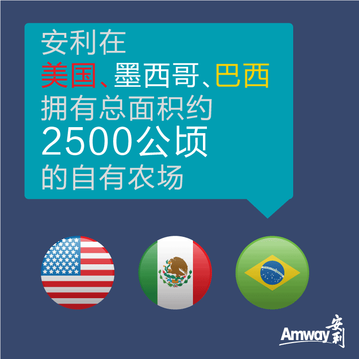 Amway, 安利